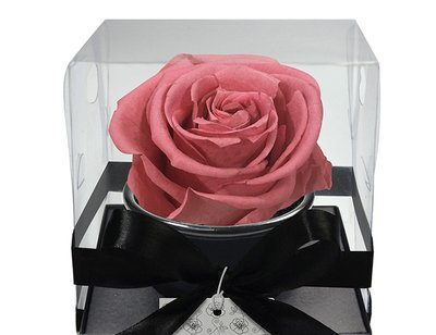 Conheça a Nova Coleção de Rosa Encantada da Giuliana Flores