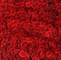 Coleção Mega Buquê — Buquês de Flores Gigantes para Presentear