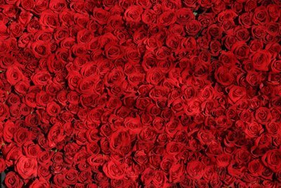 Coleção Mega Buquê — Buquês de Flores Gigantes para Presentear