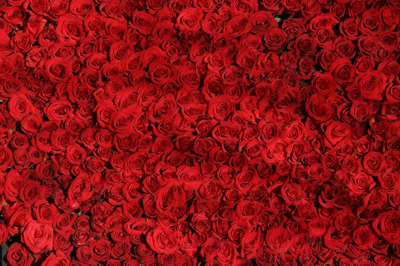 Coleção Mega Buquê — Buquês de Flores Gigantes para Presentear