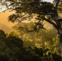 Os 9 Melhores Filmes de Natureza Para Quem Ama Estar ao Ar Livre