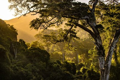 Os 9 Melhores Filmes de Natureza Para Quem Ama Estar ao Ar Livre