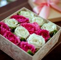 Dia da amizade — 5 Dicas de Flores Para Amiga