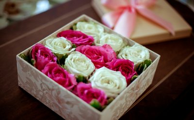 Dia da amizade — 5 Dicas de Flores Para Amiga