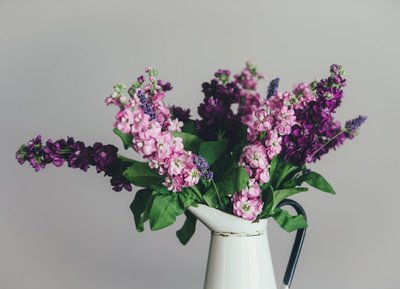 As 5 Flores mais Lindas do Mundo