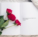 Aprenda a usar Diferentes Tipos de Rosas na sua Decoração