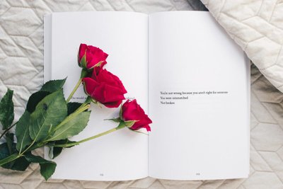 Aprenda a usar Diferentes Tipos de Rosas na sua Decoração