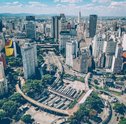 Representantes Oficiais — Conheça as Flores de São Paulo