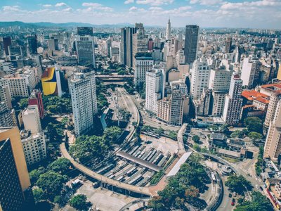 Representantes Oficiais — Conheça as Flores de São Paulo