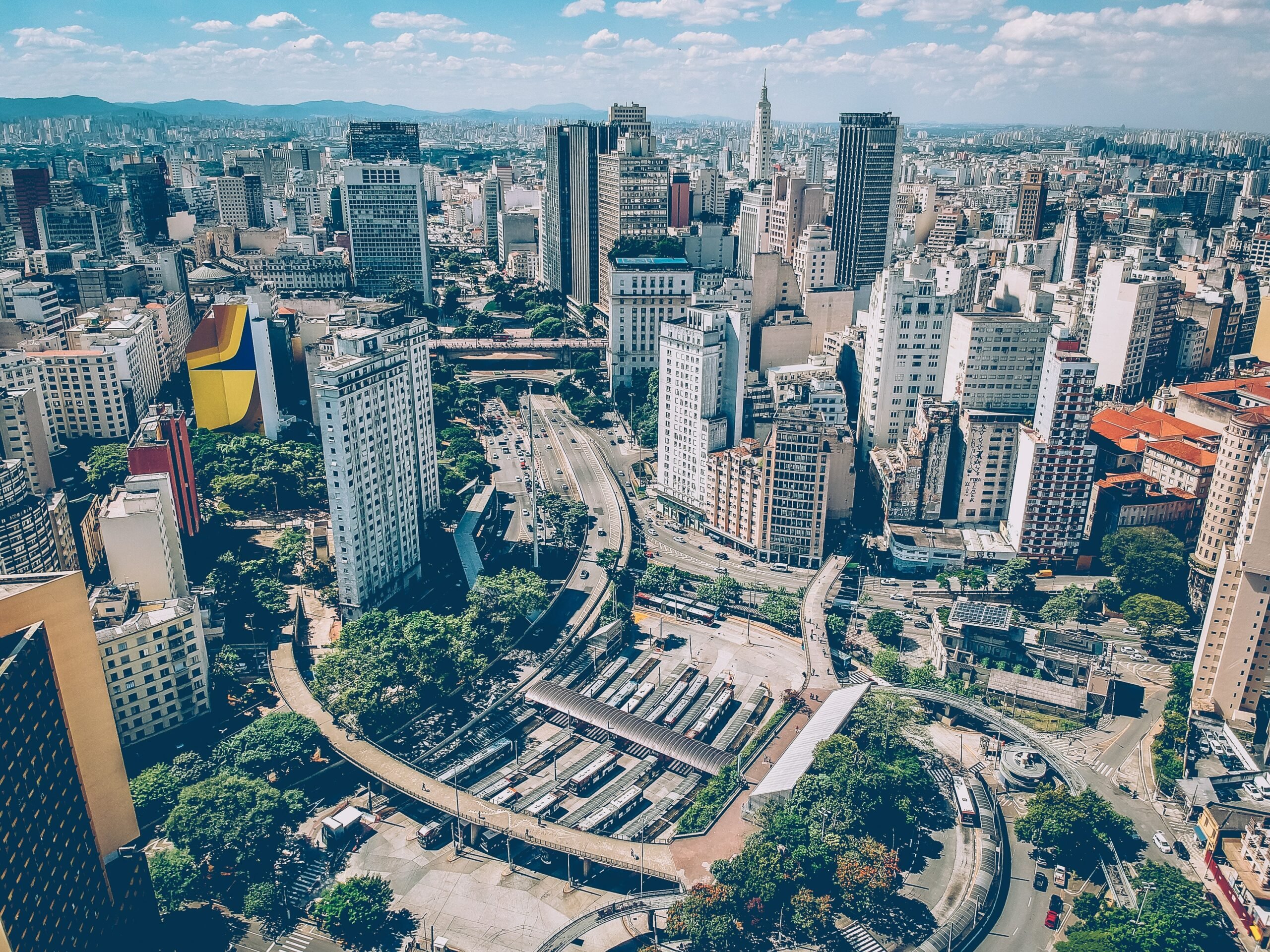 Representantes Oficiais — Conheça as Flores de São Paulo