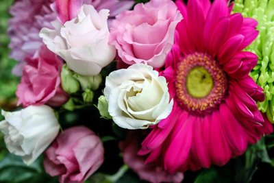 Descubra Qual é e Como Entregar a Flor do Signo de Libra