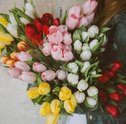 Qual é o Significado de Tulipa?
