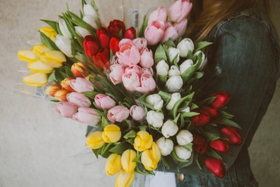Qual é o Significado de Tulipa?