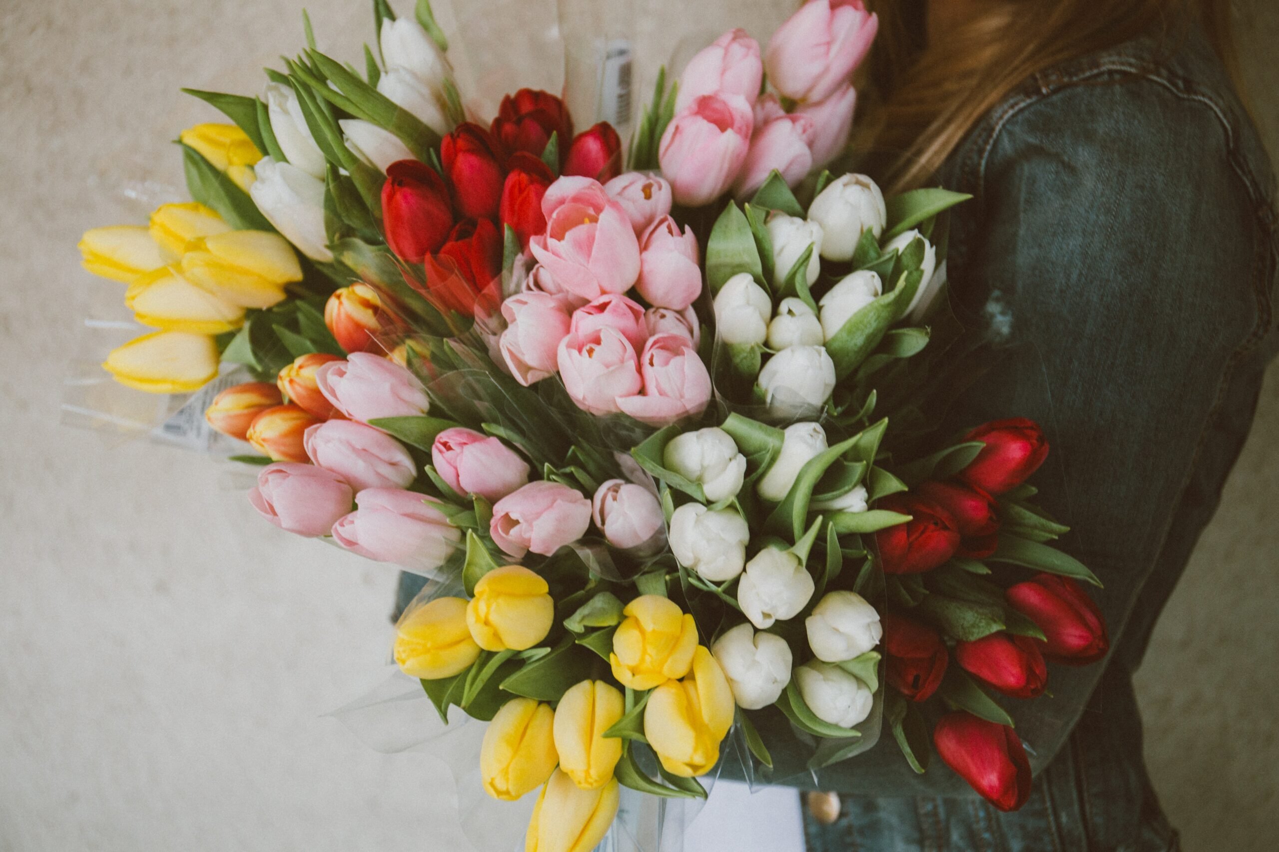 Qual é o Significado de Tulipa?