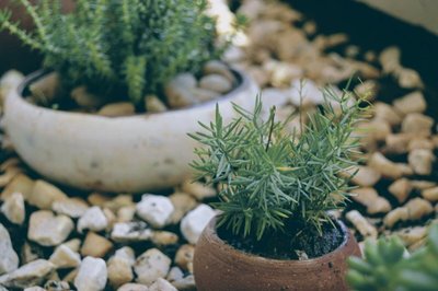 Praticidade — Como Montar Um Jardim com Pedras?