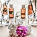 Aprenda Como Fazer Perfume com Flores e Arrase Por Onde For