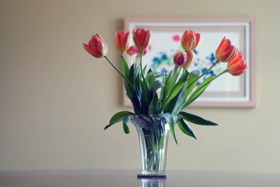 4 Flores que Duram Muito Tempo Fora do Vaso