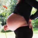 7 Nomes de Flores para Meninas