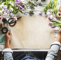 Flores que Significam Alegria — Conheça 3 Tipos de Flores Alegres