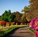 5 Jardins Brasileiros Para Visitar nas Férias