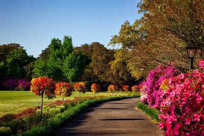 5 Jardins Brasileiros Para Visitar nas Férias