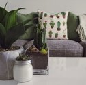 4 Truques de Como Refrescar a Casa Sem Ar Condicionado