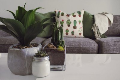4 Truques de Como Refrescar a Casa Sem Ar Condicionado