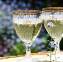 Champanhe ou Espumante — Qual a Diferença e Quando dá-los de Presente?