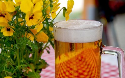 Você Sabia que a Giuliana Tem Delivery de Cerveja em São Paulo?