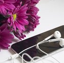 Músicas Sobre Flores Para se Apaixonar