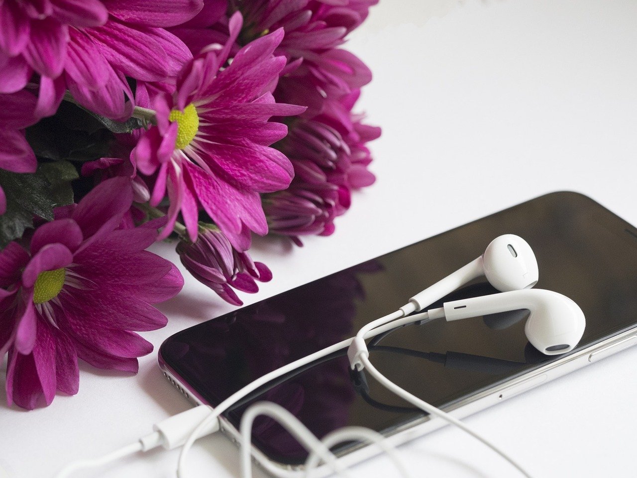 Músicas Sobre Flores Para se Apaixonar