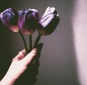 Flores que Inspiram Tendências na Moda 2019 – Dicas da Paty Scaringella