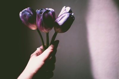 Flores que Inspiram Tendências na Moda 2019 – Dicas da Paty Scaringella