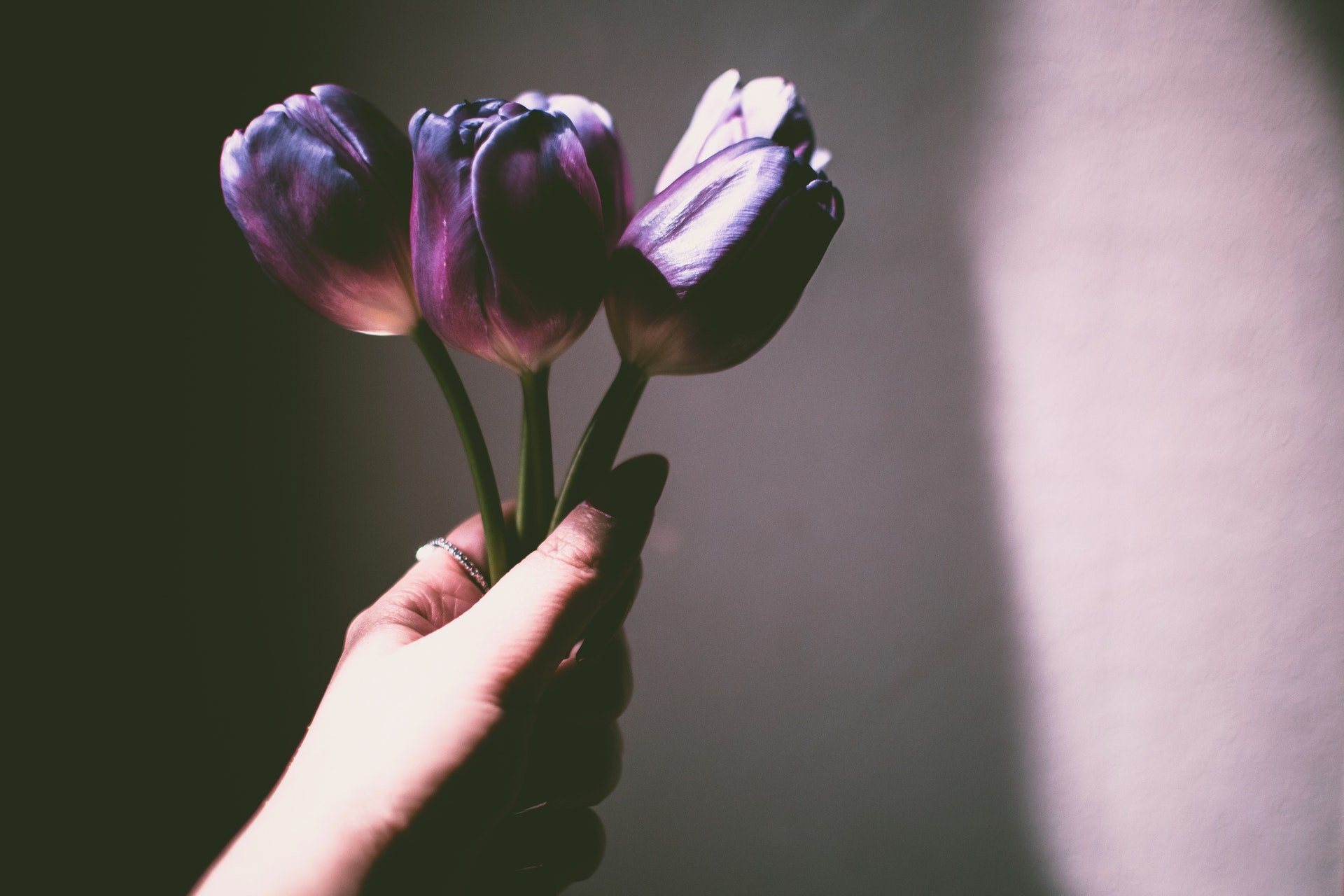 Flores que Inspiram Tendências na Moda 2019 – Dicas da Paty Scaringella