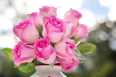 Conheça 5 Rosas da Amizade e seus Significados