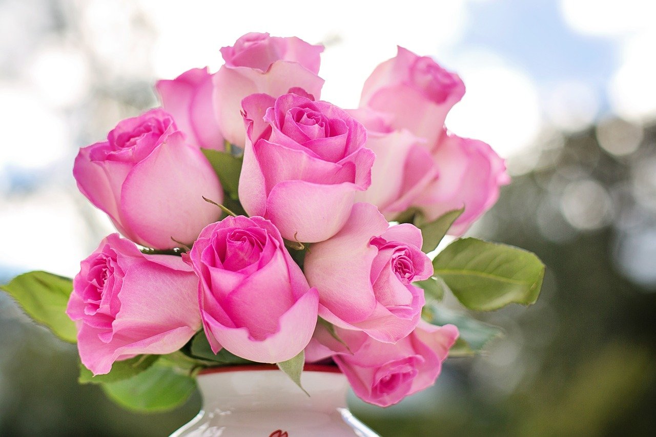 Conheça 5 Rosas da Amizade e seus Significados