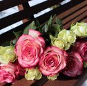 Conheça o significado das cores das rosas