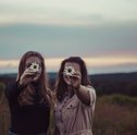 5 tipos de flores para amigos