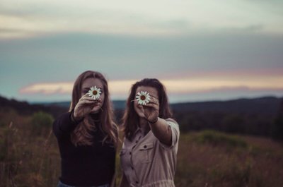 5 tipos de flores para amigos