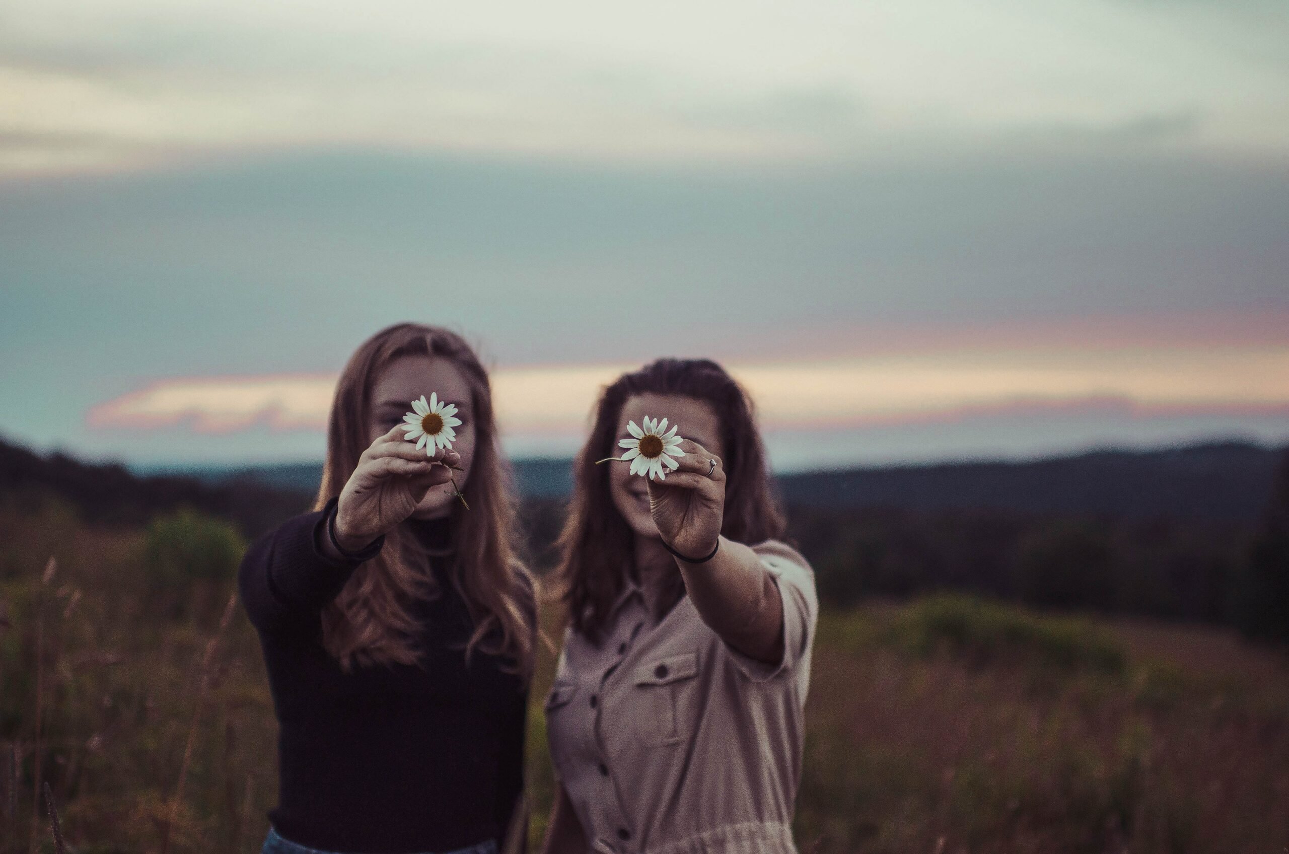 5 tipos de flores para amigos