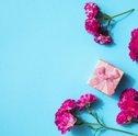 Presentes para Dia do Cliente — Dicas de Presentes e Mensagens para Clientes