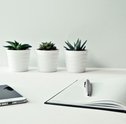 Decoração de Consultório — 4 Dicas de Como Deixar um Consultório mais Bonito