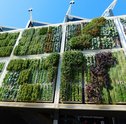 Como Fazer Painel Vertical para Plantas?