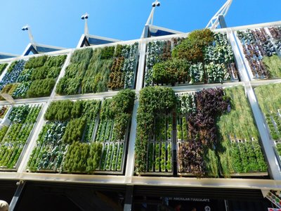 Como Fazer Painel Vertical para Plantas?
