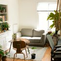 Plantas Dentro de Casa — Conheça as 5 Plantas que Não Precisam de Muita Luz