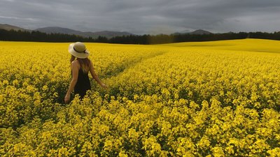 Plantas que Ajudam a Saúde — 4 Flores que Melhoram o Bem-Estar