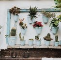 Como Fazer Painel Vertical Para Plantas?