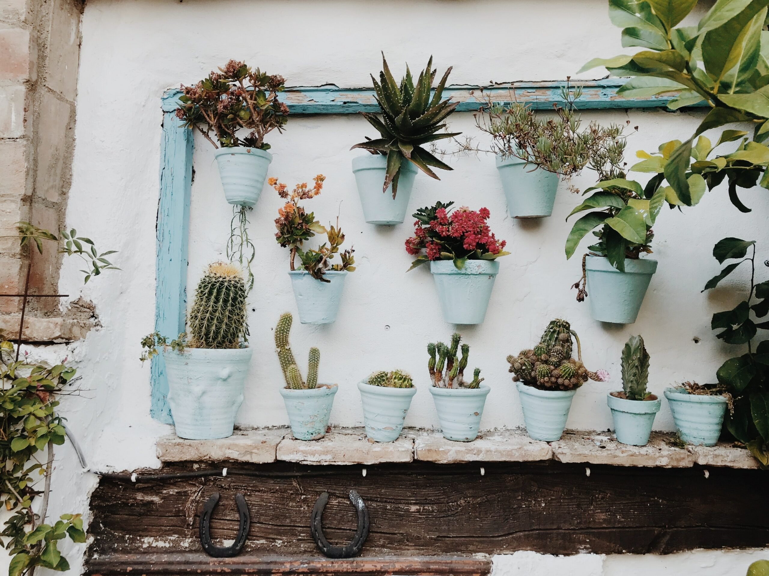 Como Fazer Painel Vertical Para Plantas?