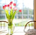 5 flores para casa que vão harmonizar o ambiente