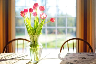 5 flores para casa que vão harmonizar o ambiente
